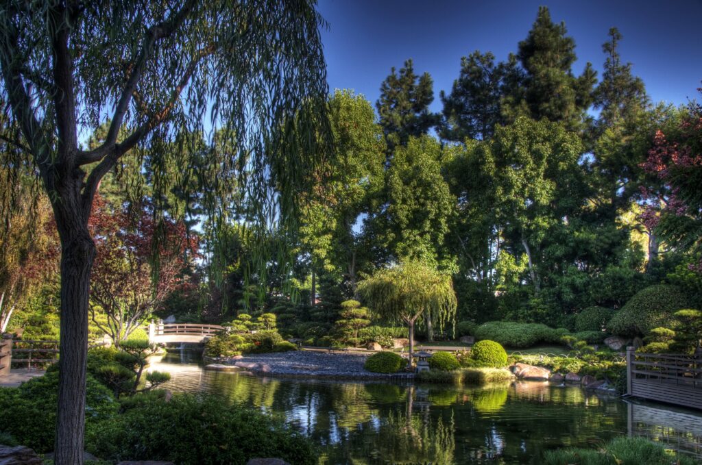 Serene garden wallpaper with arch bridge over reflective pond surrounded by lush greenery and blue sky