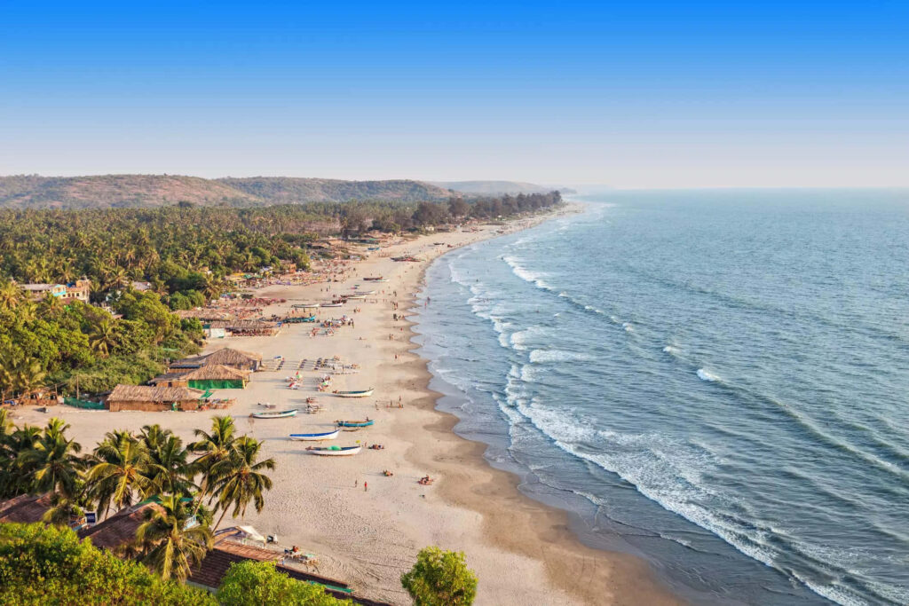 Tranquil Goa Beach: Golden Sands & Lush Palms for a Perfect Escape Wallpaper