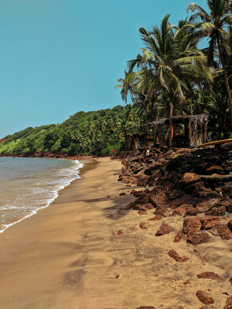 Serene Goa Beach Wallpaper: Tranquil Waves & Lush Palms