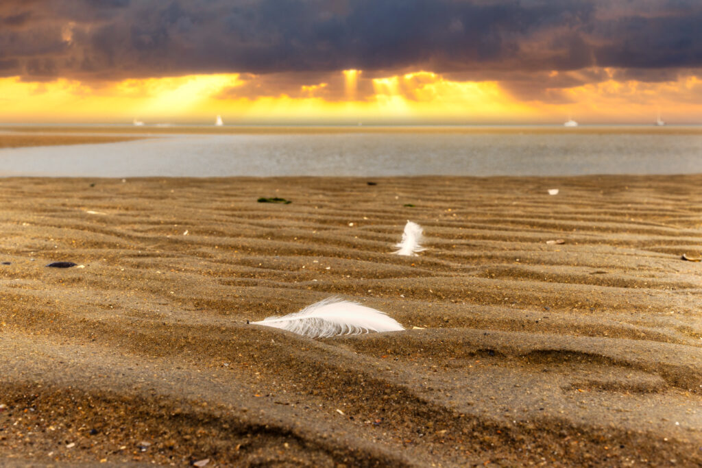 Tranquil shore with golden sand white feathers calm sea and sun rays breaking through clouds wallpaper