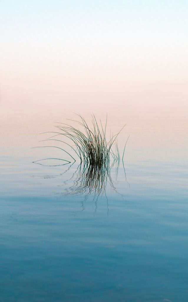 Tranquil wallpaper with delicate grass in calm river gentle ripples and soft pastel sky reflections