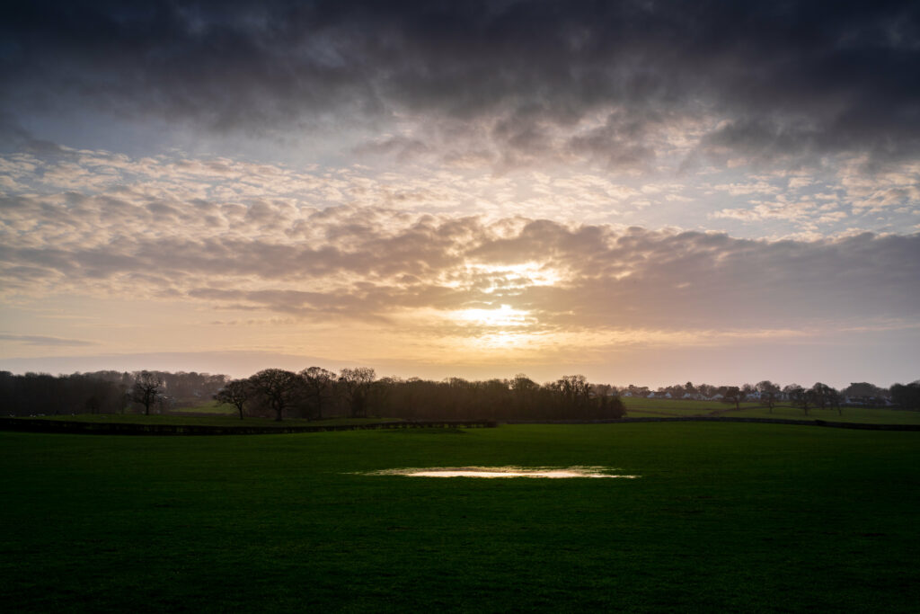 Tranquil field with green grass bare trees dramatic sunset sky soft clouds reflecting water Wallpaper
