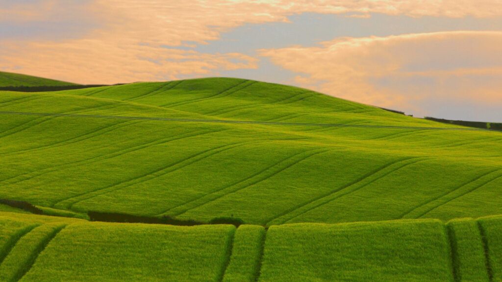 Vibrant green field with rolling hills and subtle pattern lines under a soft glowing sky wallpaper