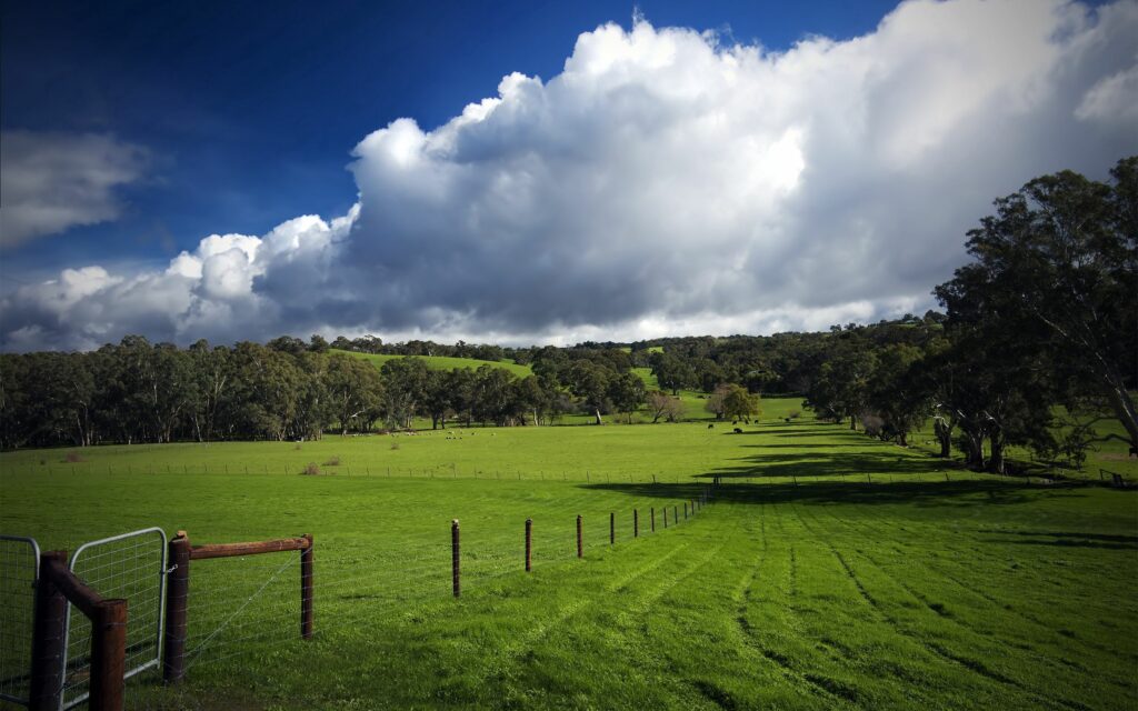 Tranquil rural landscape with green grass fenced pastures winding paths fluffy clouds trees wallpaper