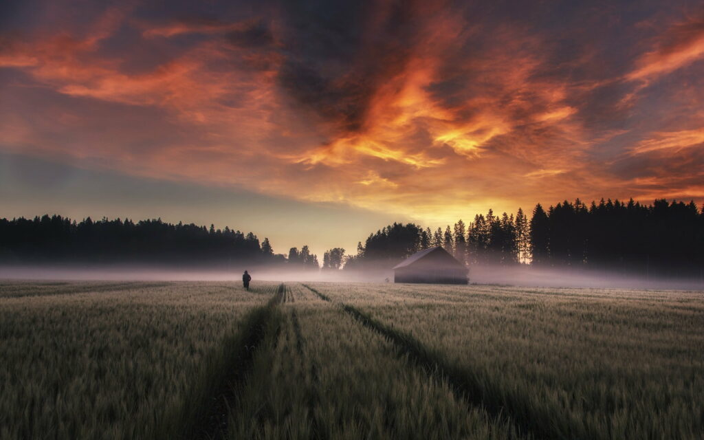 Serene Misty Field at Dawn: Tranquil HD Wallpaper with Orange Skies