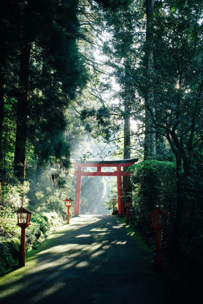 Tranquil Japanese Torii Gate Wallpaper: Lush Greenery & Sunshine