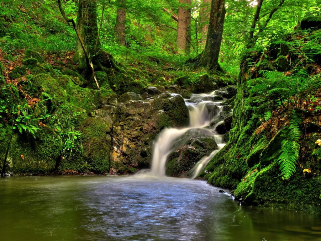 Small waterfall in Klein Pyokhlarn Austria with lush green forest mossy rocks and soft sunlight Wallpaper