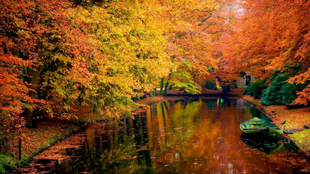 Tranquil Lake in Autumn: Vibrant Foliage Wallpaper Background