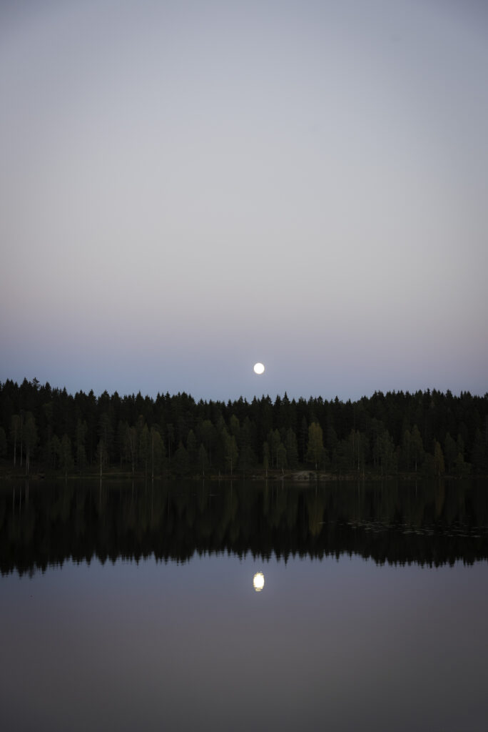 Serene lake reflecting dense forest and glowing full moon in soft twilight wallpaper background
