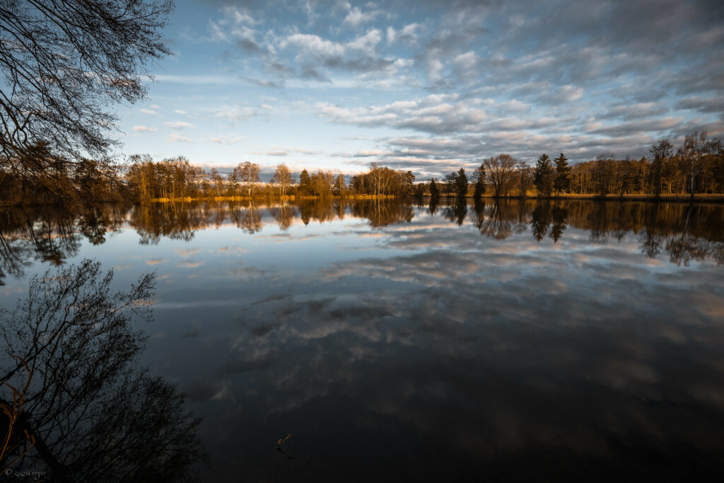 Serene lake reflecting blue sky and clouds framed by bare trees golden sunlight peaceful landscape Wallpaper