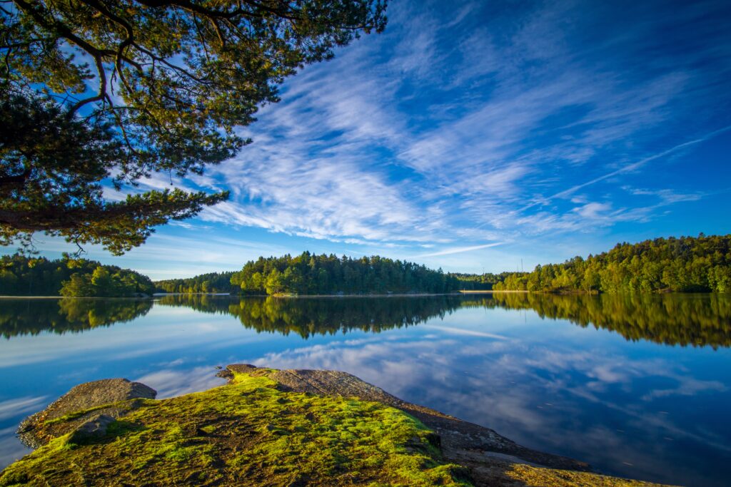 Tranquil lake with lush green trees and clear blue sky reflecting on calm water wallpaper background