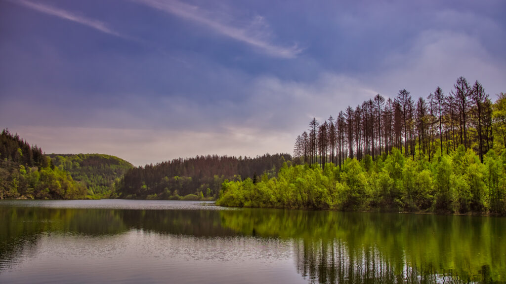 Tranquil lake reflecting lush green trees and tall pines under a soft cloudy sky wallpaper background