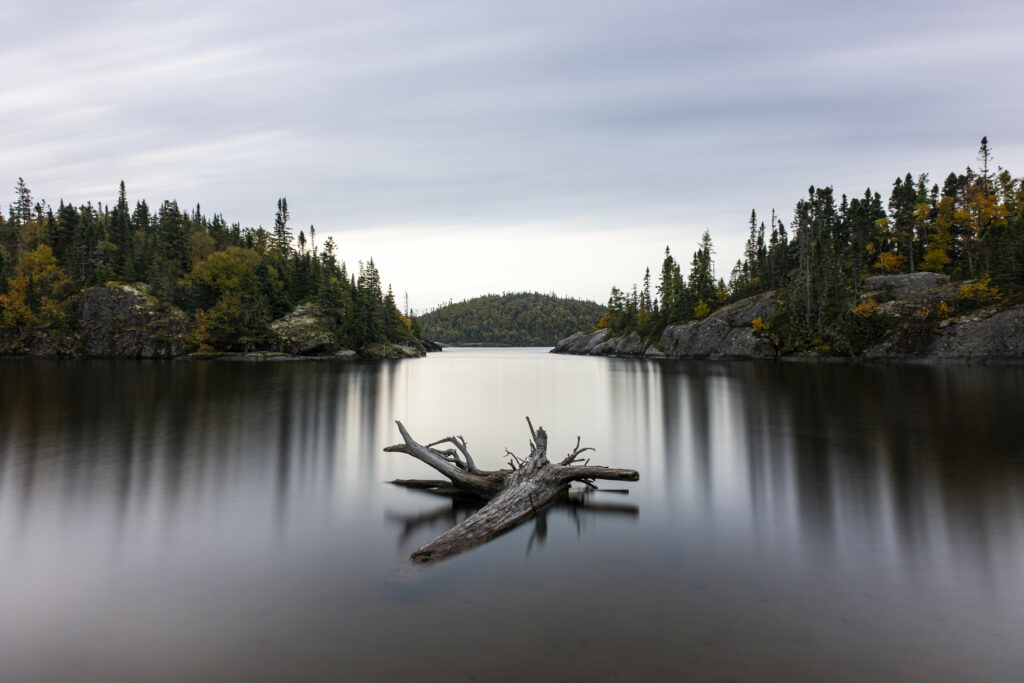 Tranquil lake with fallen log smooth reflective water dense trees rocky shore peaceful nature scenery Wallpaper