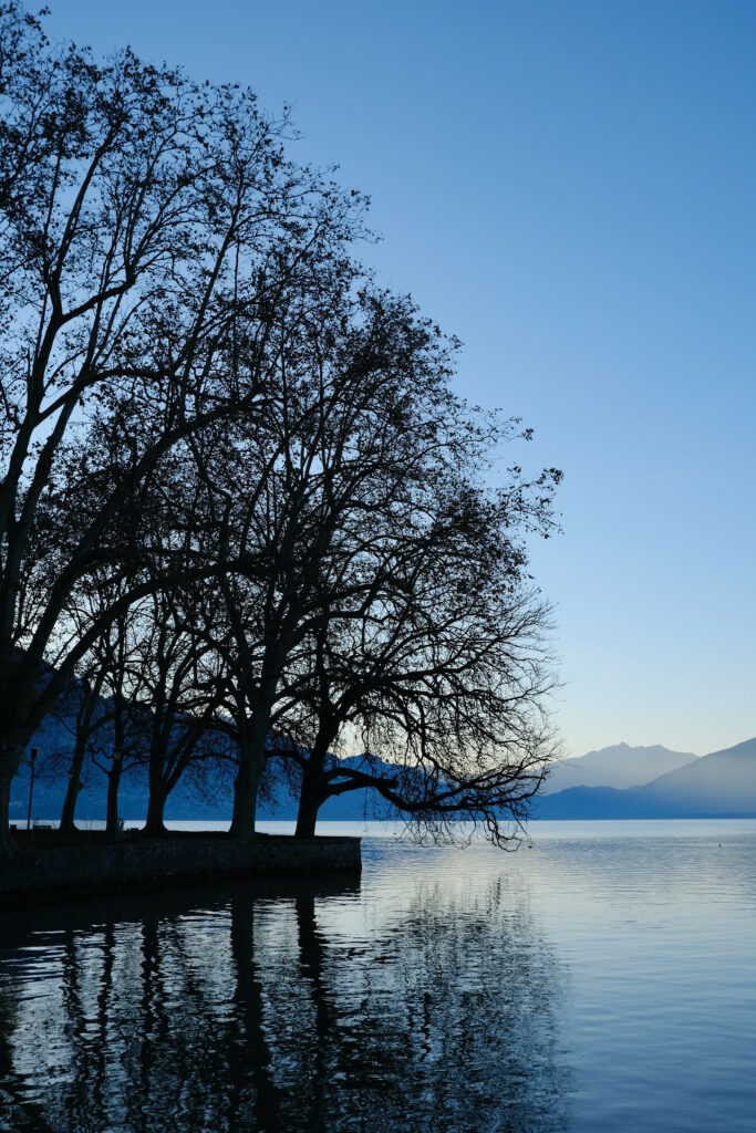 Leafless trees reflect on calm lake at dusk with mountains and clear sky serene wallpaper background