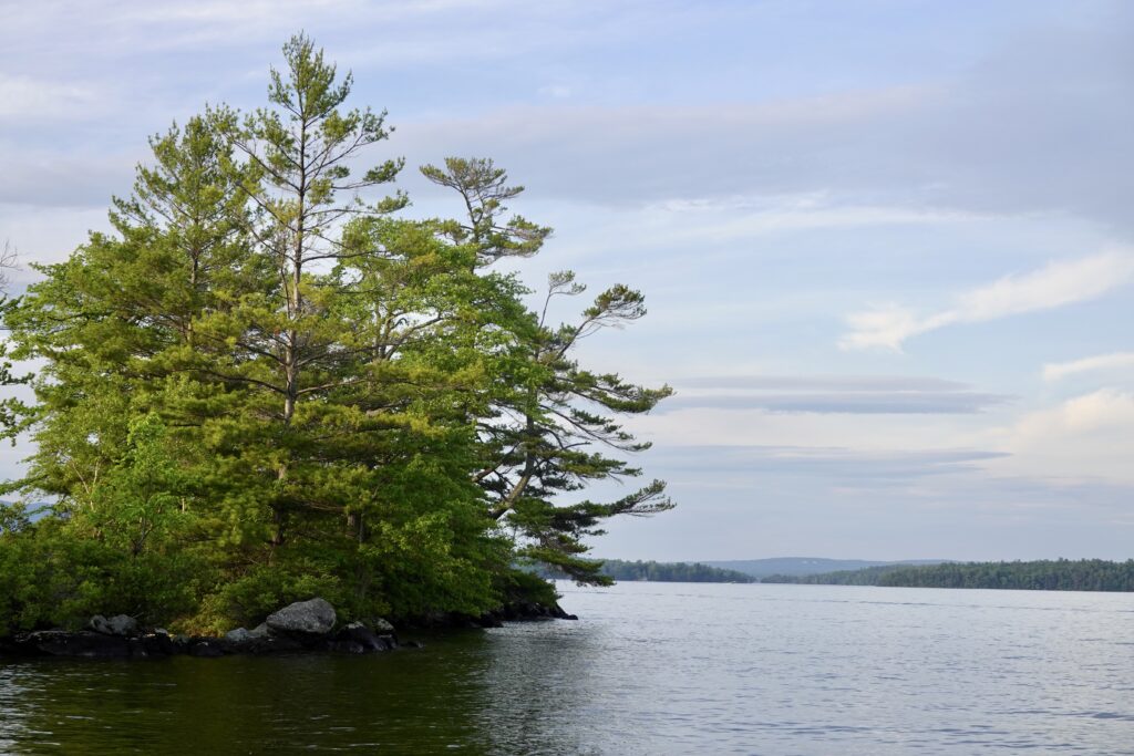 Serene lake with tall trees and gentle waves under soft partly cloudy sky landscape wallpaper