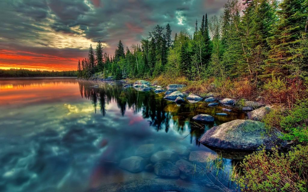 Lake side trees at sunset reflecting on clear water with rocky shore live desktop wallpaper background