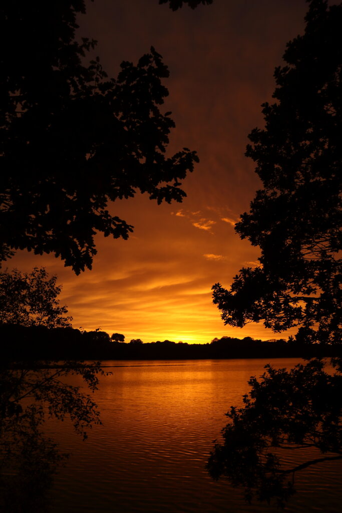 Tranquil lake at sunset reflecting warm orange and gold hues with tree silhouettes background Wallpaper