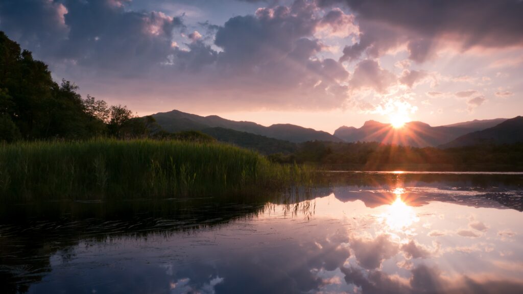Tranquil sunset over lake with tall canes and colorful sky reflecting on calm water wallpaper background