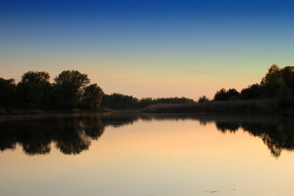 Tranquil lake at sunset with tree silhouettes and vibrant sky reflecting on calm water wallpaper