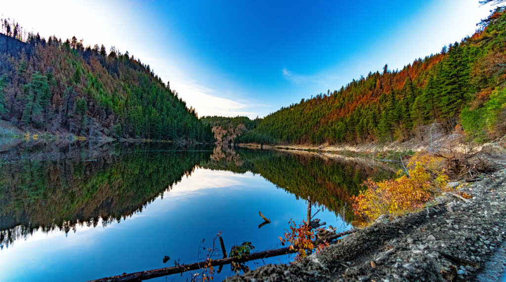 Tranquil lake with clear reflections of dense forest and vibrant foliage under blue sky wallpaper