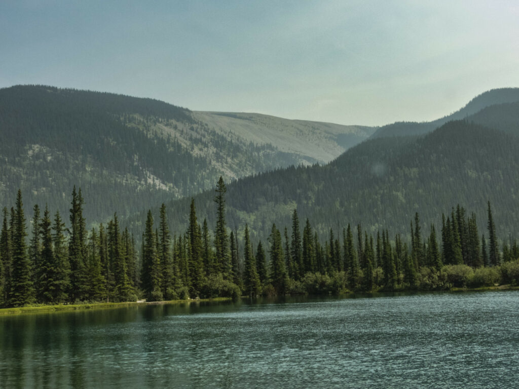 Serene tranquil lake with dense forest and rolling hills under clear sky peaceful wallpaper background