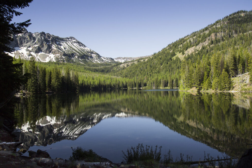 Tranquil lake with lush green spruce trees and majestic mountains reflecting clear blue sky wallpaper
