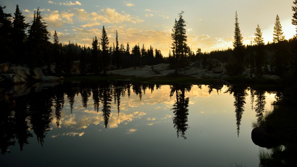 Tranquil lake at sunrise with spruce trees reflecting in calm water peaceful forest wallpaper
