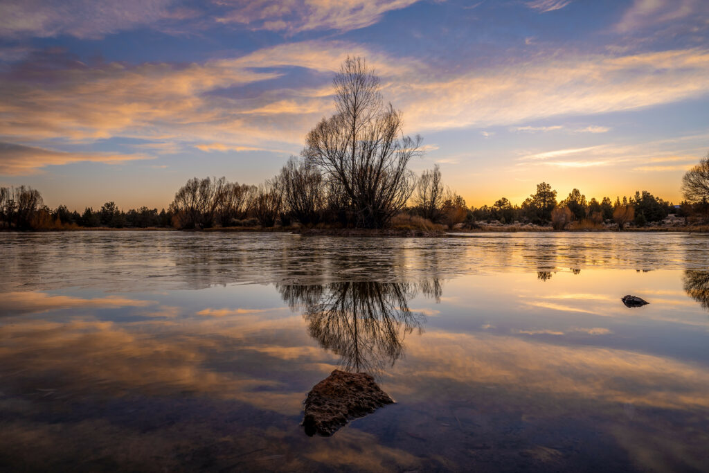Tranquil lake at dusk with tall tree reflection and pastel purple orange gold sky wallpaper background