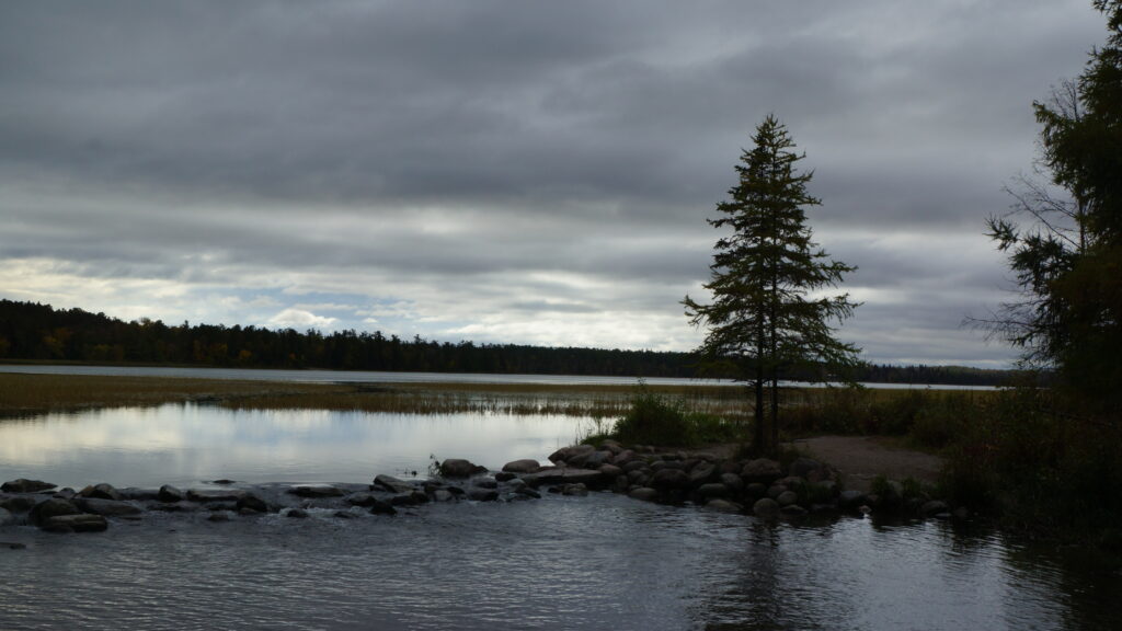 Serene lakeshore with solitary spruce tree smooth stones gentle water reflections calm sky wallpaper