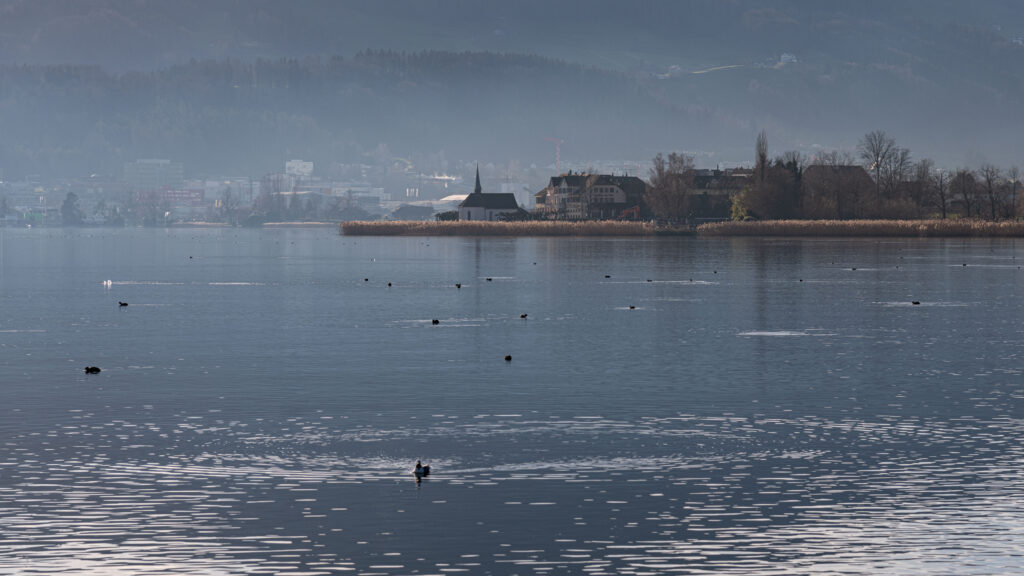 Tranquil lakeside with calm ripples misty fog birds silhouettes of buildings and leafless trees Wallpaper