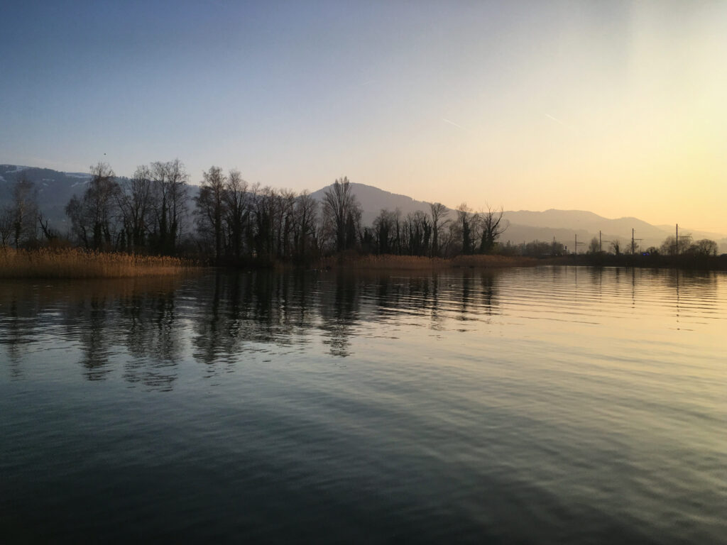 Tranquil lakeside wallpaper with calm water reflecting trees and mountains under golden sky