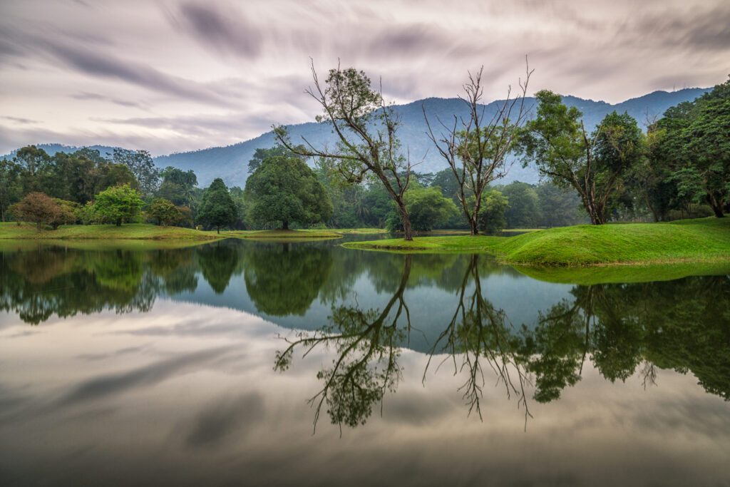 Tranquil lakeside with lush green trees reflected in calm water under soft cloudy sky wallpaper