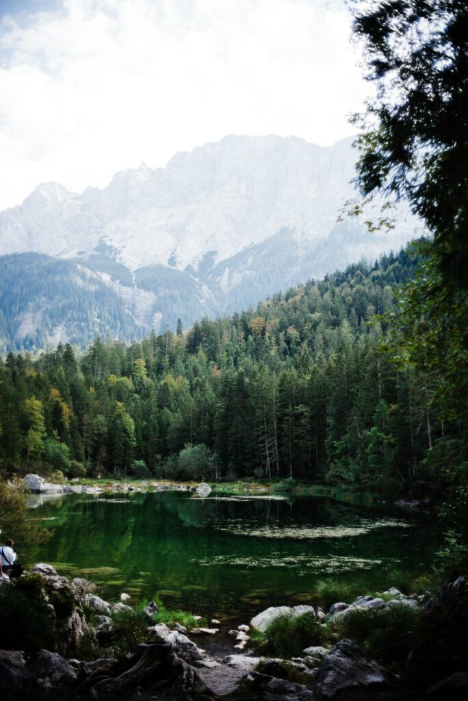 Serene lakeside with clear water reflecting pine forest rugged rocks and distant mountains Wallpaper