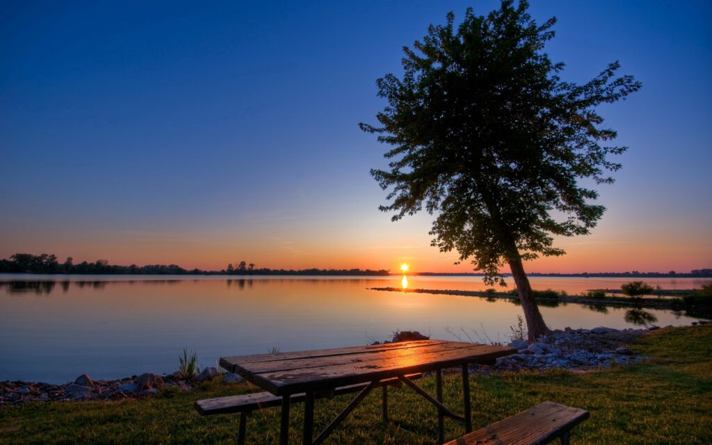 Sunset lakeside wallpaper with golden reflections lone tree and rustic benches for serene evenings