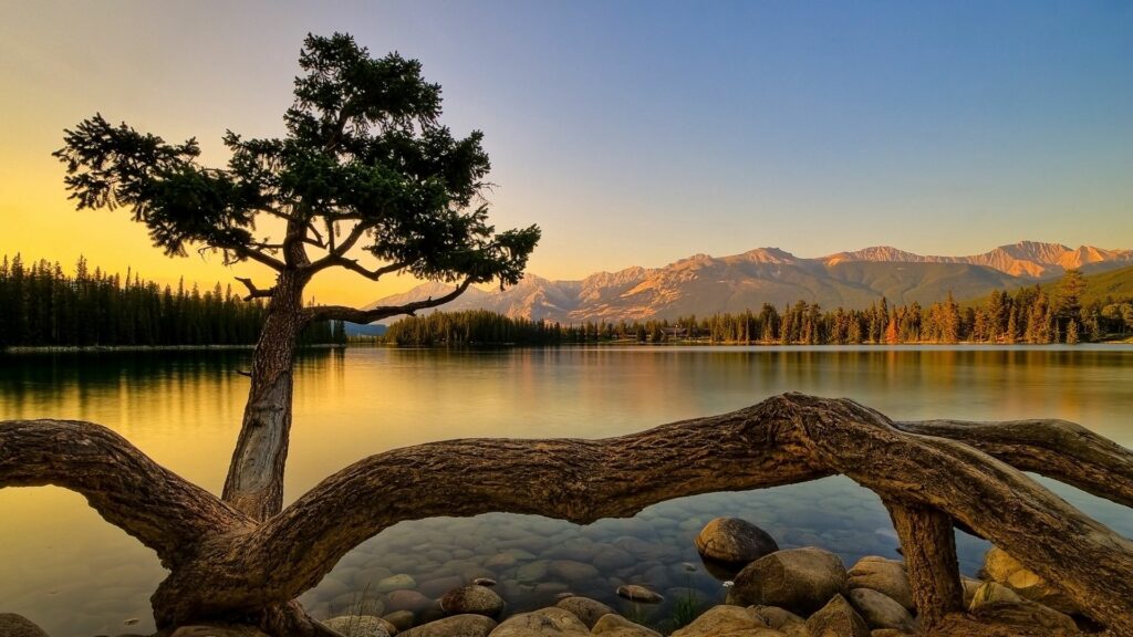 Tranquil lakeside sunset with sprawling tree roots over stones reflecting sky and mountains Wallpaper