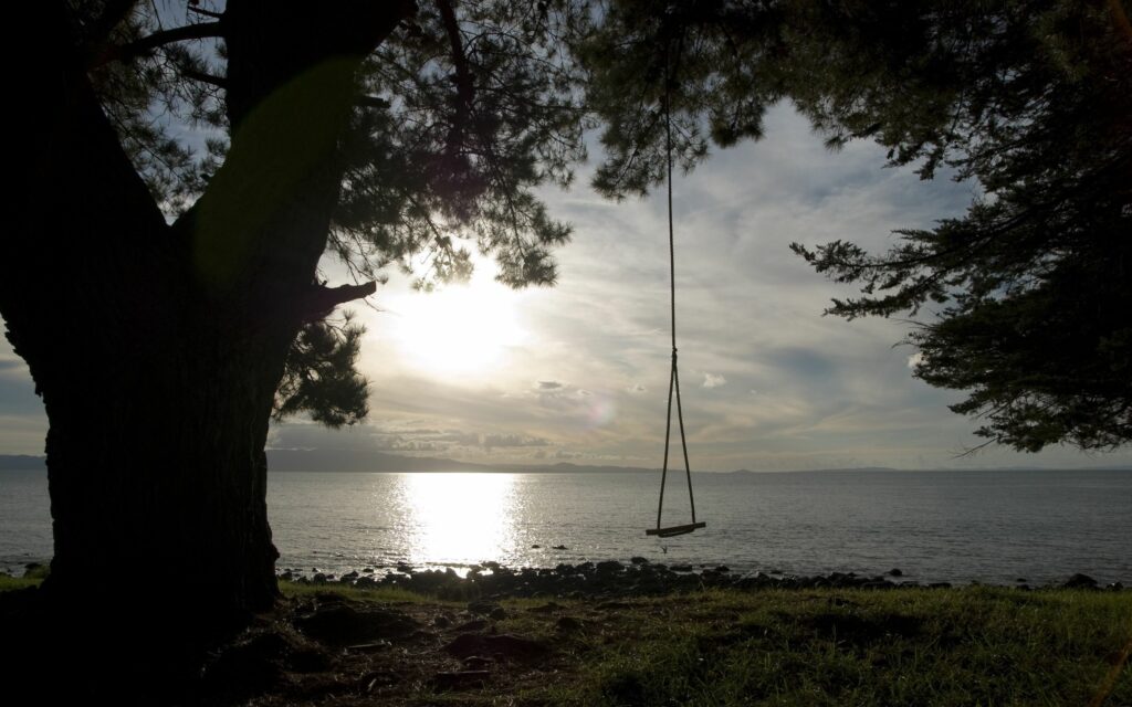 Tranquil lakeside with tree swing calm coast soft sunlight serene shadows natural tones wallpaper