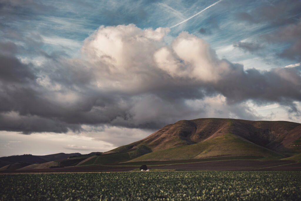Tranquil HD Landscape Wallpaper: Lush Fields & Dramatic Sky