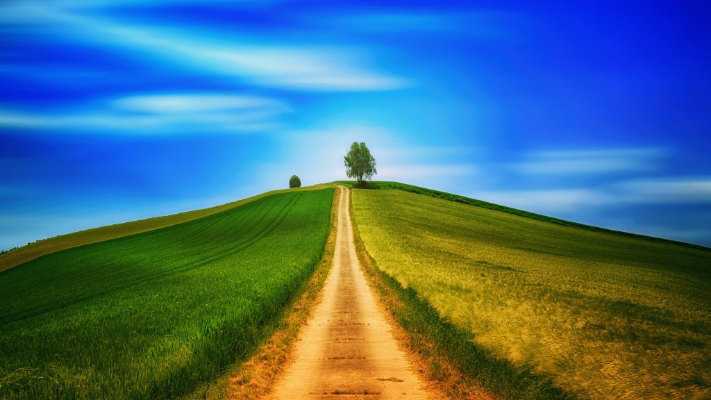 Path through green and golden fields leading to a tree on a hill under blue sky with clouds Wallpaper