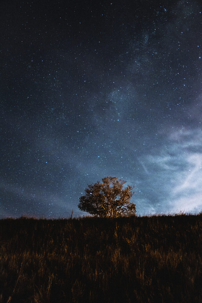 Lone tree in open field under starry night sky with soft clouds and blue gradient background Wallpaper