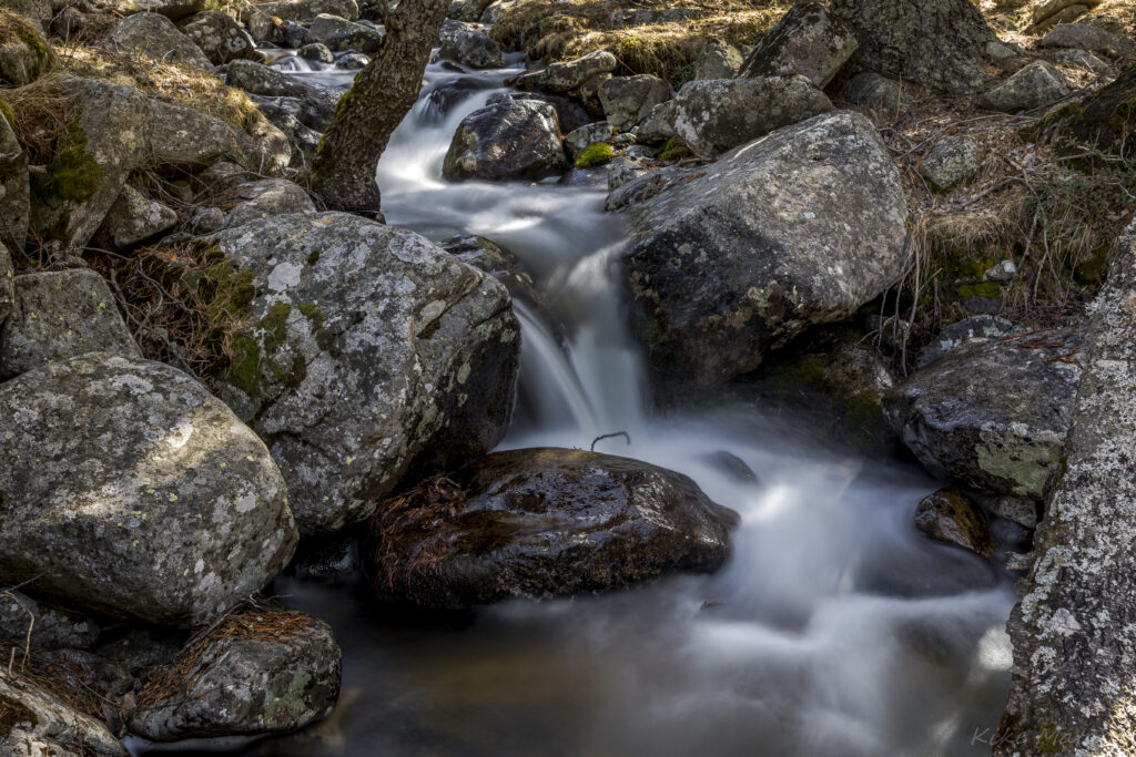 Long exposure of gentle stream flowing over mossy rocks and rugged stones in peaceful forest Wallpaper
