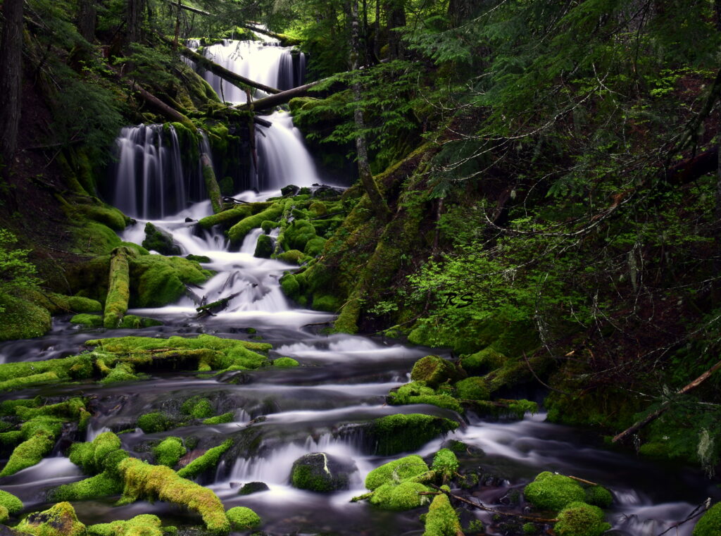 Lush forest waterfall flowing into mossy stream surrounded by vibrant green trees and soft light Wallpaper