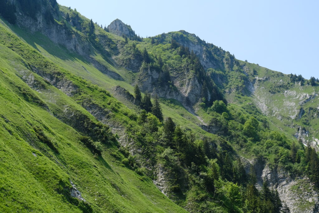 Lush green mountains with steep slopes and trees under clear blue sky natural landscape wallpaper