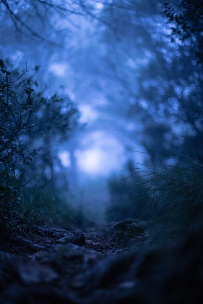 Dreamy Macro Pathway: Serene Grass and Foggy Wallpaper Background