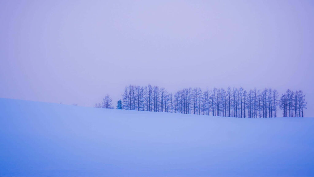 Tranquil Minimalist Winter Landscape with Snowy Slope and Bare Trees Wallpaper