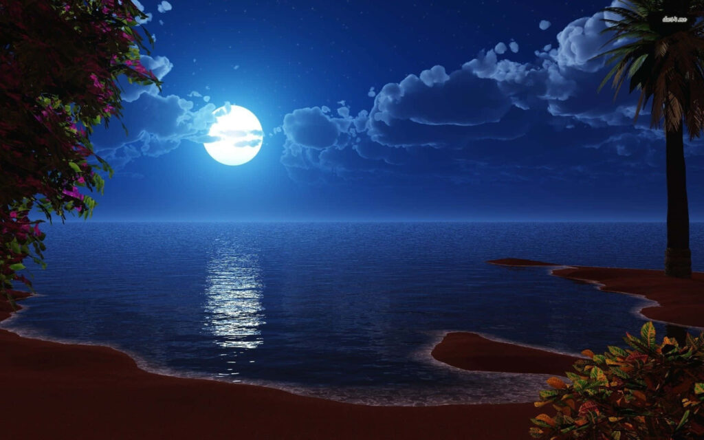 Tranquil Moonlit Ocean Wallpaper: Bright Full Moon & Tropical Vibes