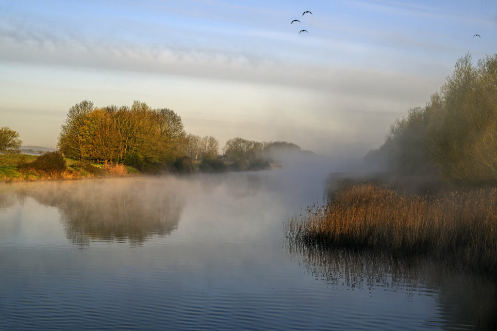 Tranquil pond with morning fog calm water lush grass dense trees birds soaring warm sunlight wallpaper