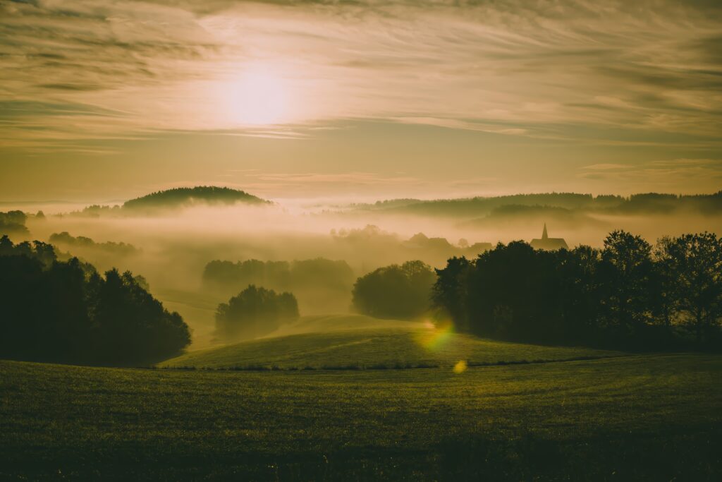 Serene landscape wallpaper with foggy rolling hills lush meadows and golden sunlight filtering through trees