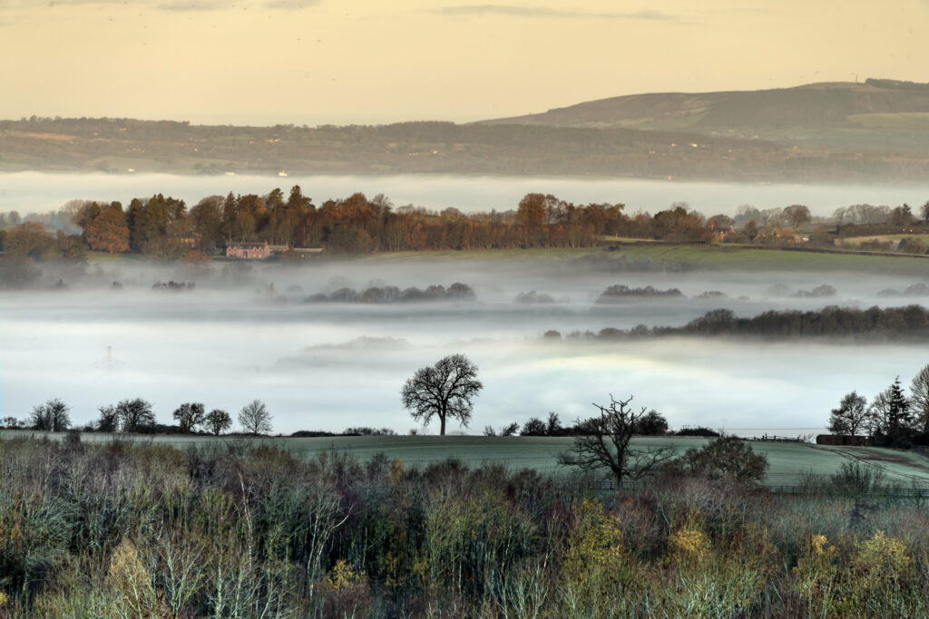Aerial view of rolling hills with morning fog and trees in warm soft hues tranquil wallpaper