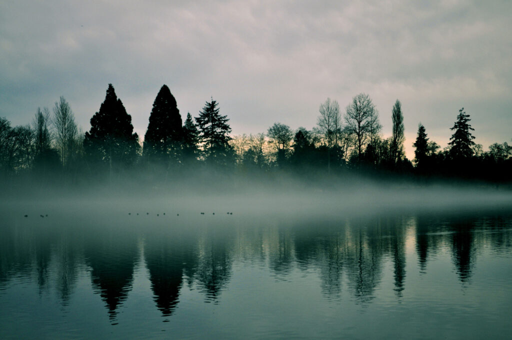 Serene river landscape with tall trees and morning fog reflecting on calm water wallpaper background