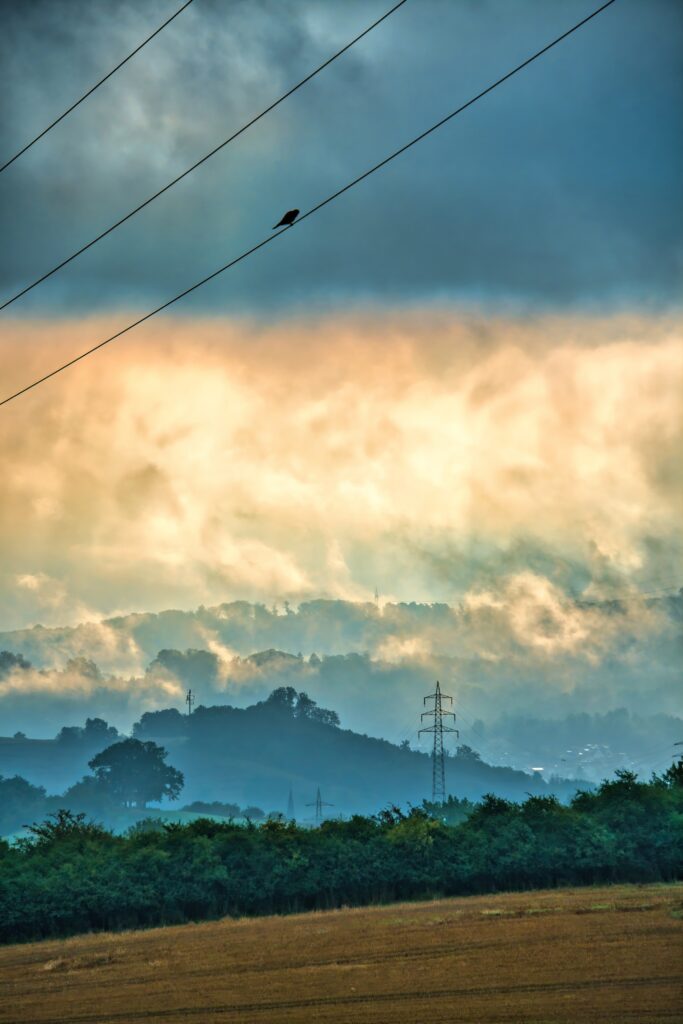 Tranquil rolling green hills at sunrise with misty clouds power lines and a lone bird perched Wallpaper